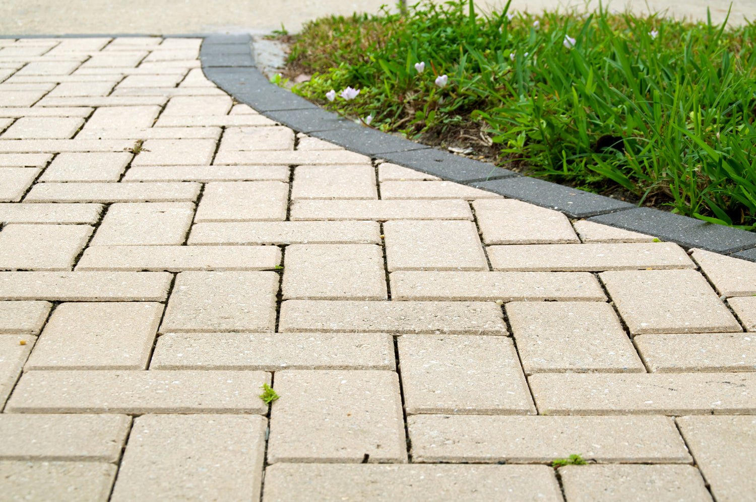 How To Find the Best Paver Sealer: A Guide